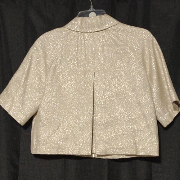 ana Beige shimmer cropped petticoat SP - Picture 3 of 4